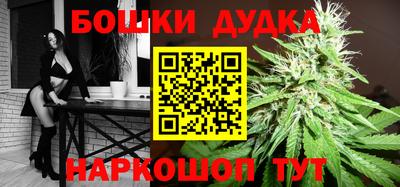 крисы Лесосибирск