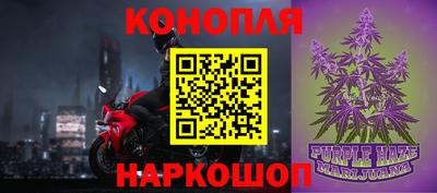 крисы Лесосибирск