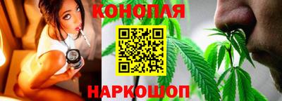 крисы Лесосибирск