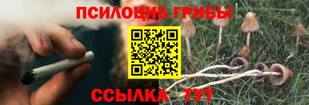 Псилоцибиновые грибы мицелий  Вход с VPN  Донецк 
